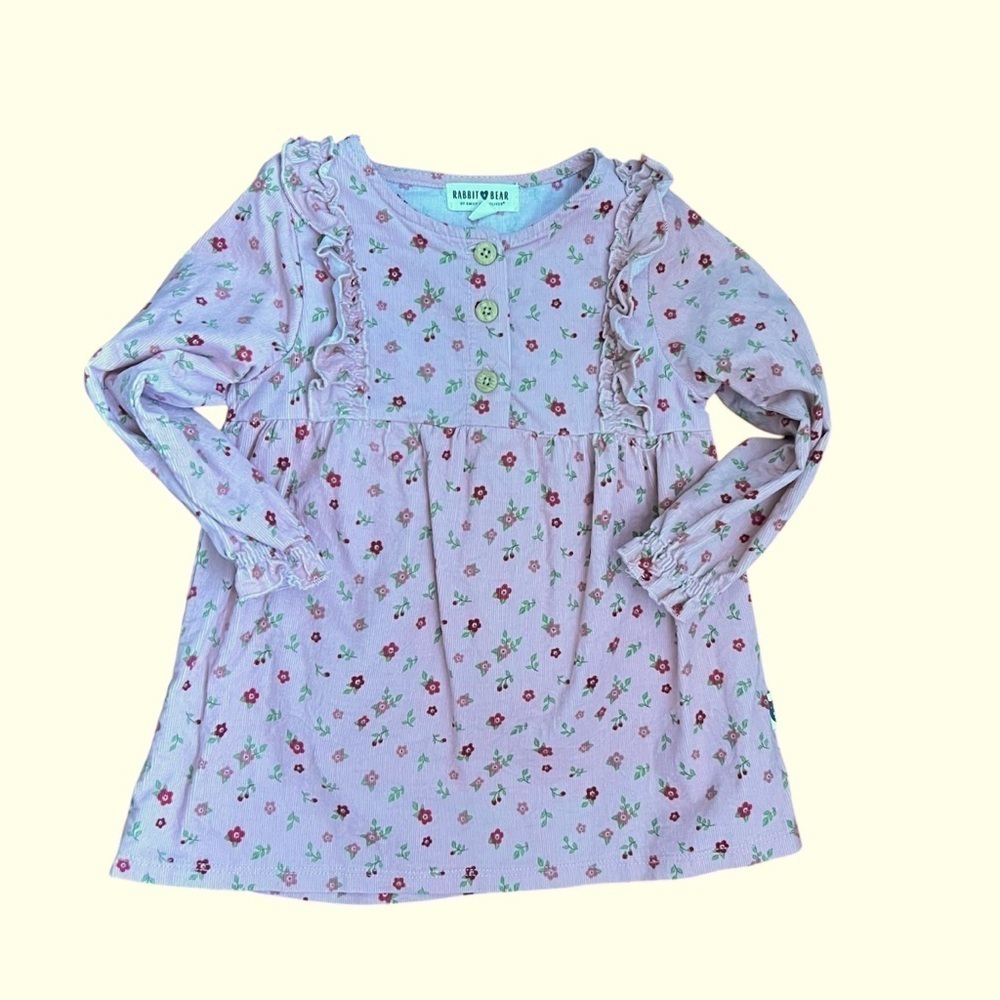 Rabbit Bear Girl Toddler 2T Organic Cotton Dress Floral Dusty Rose Long Sleeve